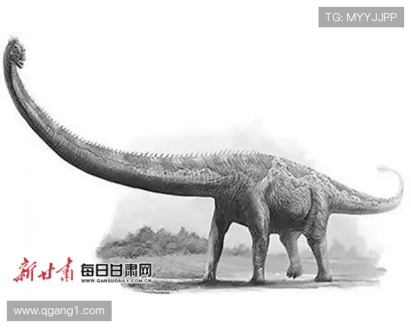 《南下》:时代洪流中的个体命运与温情叙事 《南下》:时代洪流中的个体命运与温情叙事